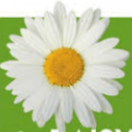 DAISY Award