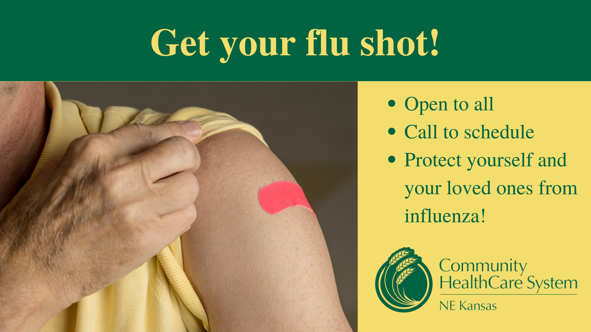 Get a flu shot this year!